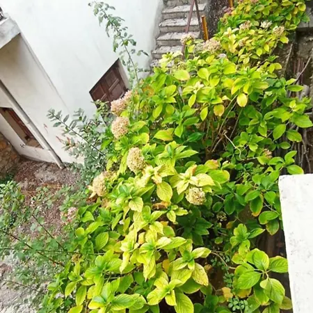 Apartment ο θολοσ